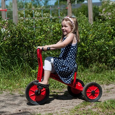 Image of Ages 3-6 Tricycle | 50-WIN451