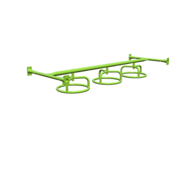 3-Wheel Swinger | TCW02106XX